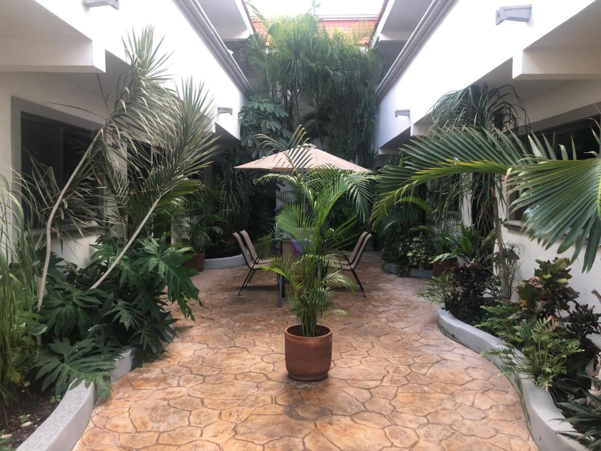 פלאייה דל כרמן Mayan Caribe Apart-Hotel מראה חיצוני תמונה